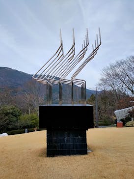 彫刻の森美術館に投稿された画像（2024/5/17）