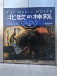 北欧の神秘（ＳＯＭＰＯ美術館）に投稿された画像（2024/5/17）