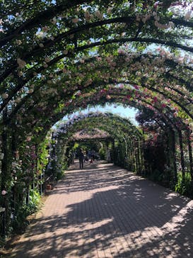 横浜イングリッシュガーデンに投稿された画像（2024/5/17）