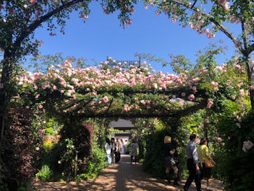 横浜イングリッシュガーデンに投稿された画像（2024/5/17）