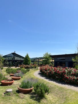 いばらきフラワーパークに投稿された画像（2024/5/17）