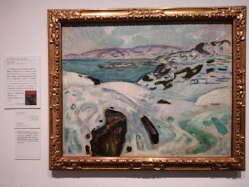 北欧の神秘（ＳＯＭＰＯ美術館）に投稿された画像（2024/5/17）