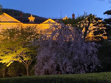 函館まちあるきガイドに投稿された画像（2024/5/17）