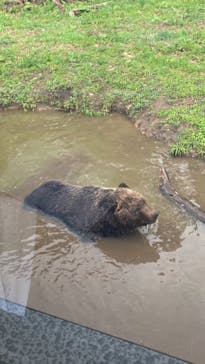 サホロリゾート　ベア･マウンテンに投稿された画像（2024/5/17）