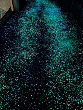 梅田スカイビル・空中庭園展望台に投稿された画像（2024/5/17）