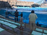 名古屋港水族館に投稿された画像（2024/5/18）