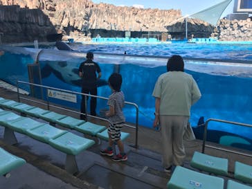 名古屋港水族館に投稿された画像（2024/5/17）