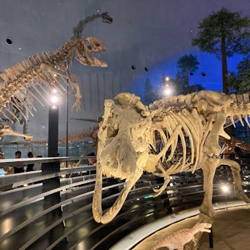 福井県立恐竜博物館に投稿された画像（2024/5/17）