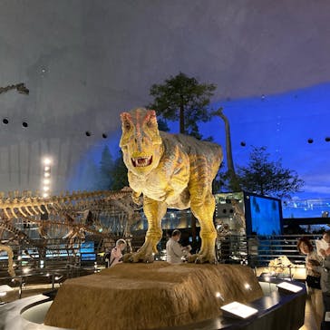 福井県立恐竜博物館に投稿された画像（2024/5/17）