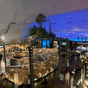 福井県立恐竜博物館に投稿された画像（2024/5/17）