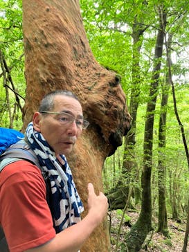 Yamakara屋久島に投稿された画像（2024/5/17）