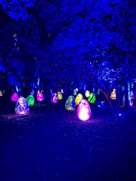 チームラボ ボタニカルガーデン 大阪に投稿された画像（2024/5/17）