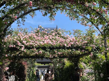 横浜イングリッシュガーデンに投稿された画像（2024/5/18）