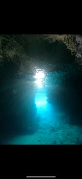 武藤潜水に投稿された画像（2024/5/18）