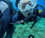 武藤潜水に投稿された画像（2024/5/18）