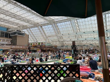 東京サマーランドに投稿された画像（2024/5/18）