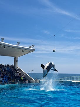 鴨川シーワールドに投稿された画像（2024/5/18）