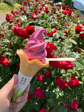 いばらきフラワーパークに投稿された画像（2024/5/18）