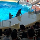 マリンワールド海の中道に投稿された画像（2024/5/18）