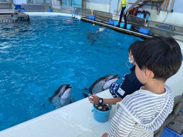 横浜・八景島シーパラダイスに投稿された画像（2024/5/18）