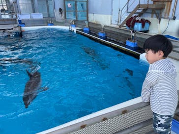 横浜・八景島シーパラダイスに投稿された画像（2024/5/18）