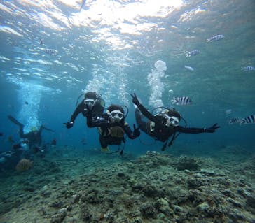 沖縄マリンサービス碧に投稿された画像（2024/5/18）