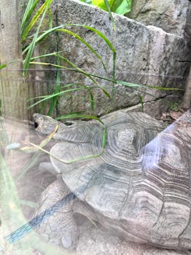 沖縄こどもの国に投稿された画像（2024/5/18）