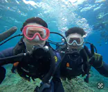 武藤潜水に投稿された画像（2024/5/18）