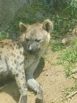 天王寺動物園に投稿された画像（2024/5/18）