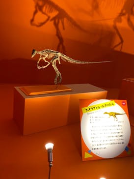 オダイバ恐竜博覧会2024 -福井から“ヤツラ”が新幹線でやってくる！-に投稿された画像（2024/5/18）