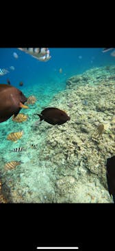 武藤潜水に投稿された画像（2024/5/18）