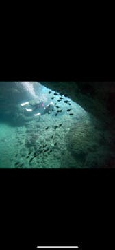 武藤潜水に投稿された画像（2024/5/18）