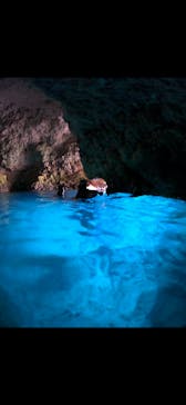 武藤潜水に投稿された画像（2024/5/18）