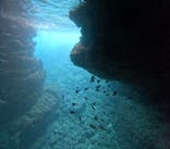 沖縄マリンサービス碧に投稿された画像（2024/5/18）