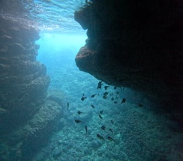 沖縄マリンサービス碧に投稿された画像（2024/5/18）