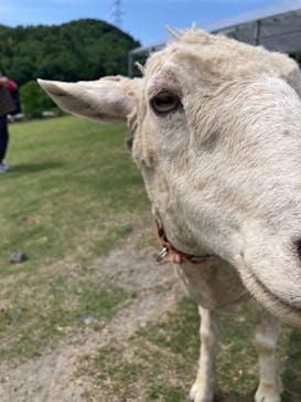 EnglishGardenローザンベリー多和田に投稿された画像（2024/5/18）