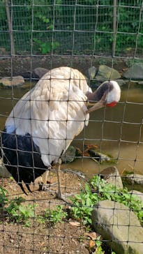 東武動物公園に投稿された画像（2024/5/18）