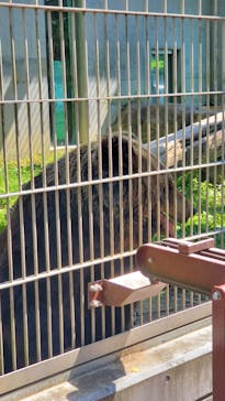 東武動物公園に投稿された画像（2024/5/18）