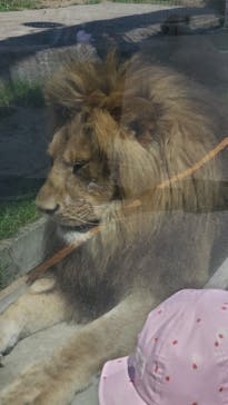 東武動物公園に投稿された画像（2024/5/18）