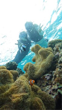 宮古島 ADVENTURE PiPi（ミヤコジマ アドベンチャー ピピ）に投稿された画像（2024/5/18）