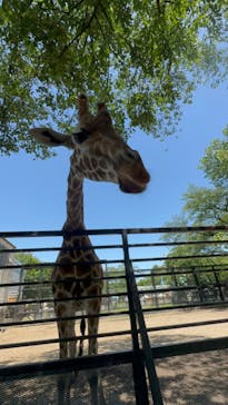 宇都宮動物園に投稿された画像（2024/5/18）