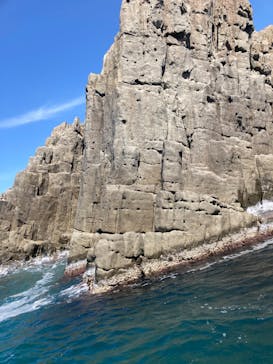 東尋坊観光遊覧船株式会社に投稿された画像（2024/5/18）