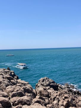 東尋坊観光遊覧船株式会社に投稿された画像（2024/5/18）