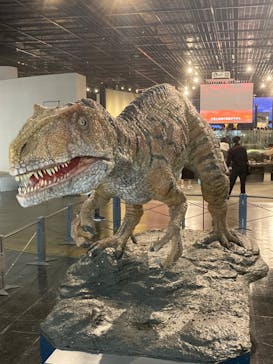 福井県立恐竜博物館に投稿された画像（2024/5/18）