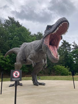 福井県立恐竜博物館に投稿された画像（2024/5/18）