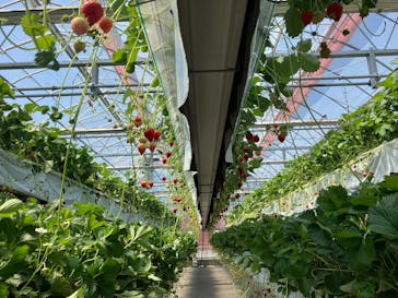 ITADAKI FARMに投稿された画像（2024/5/18）