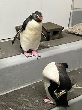 AOAO SAPPOROに投稿された画像（2024/5/18）