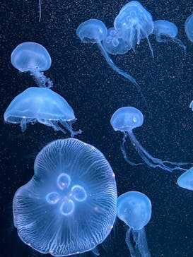 AOAO SAPPOROに投稿された画像（2024/5/18）