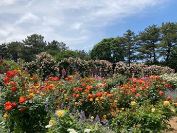 浜名湖花博2024に投稿された画像（2024/5/18）