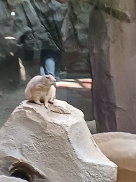 神戸どうぶつ王国に投稿された画像（2024/5/18）